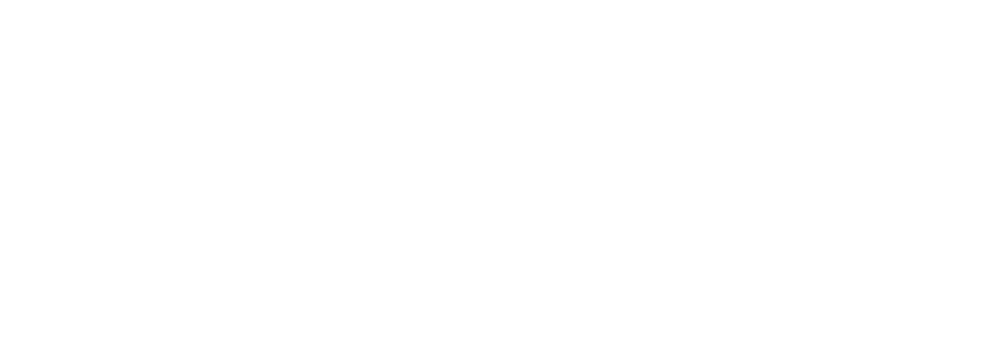 Dubai Police